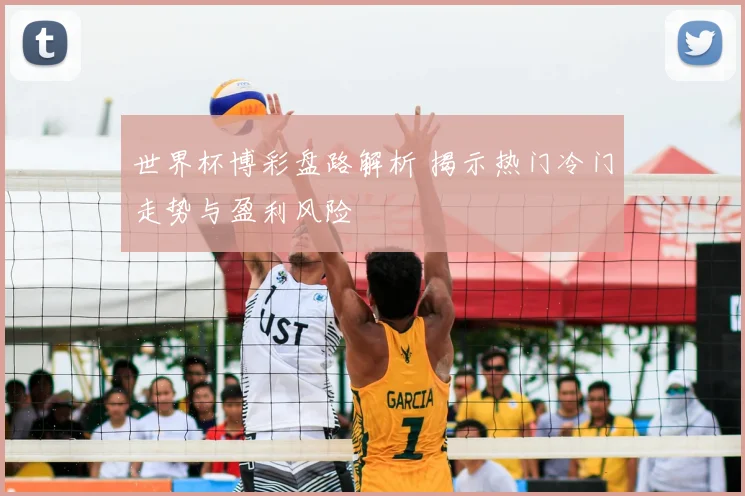 世界杯博彩盘路解析 揭示热门冷门走势与盈利风险