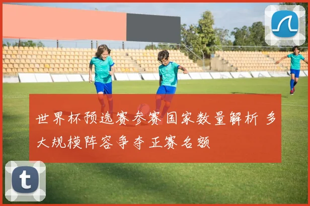 世界杯预选赛参赛国家数量解析 多大规模阵容争夺正赛名额