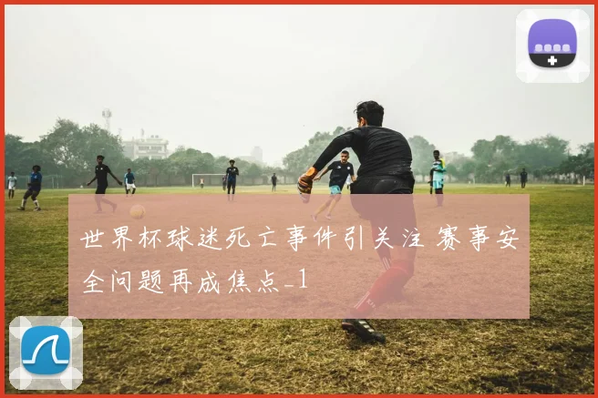 世界杯球迷死亡事件引关注 赛事安全问题再成焦点_1