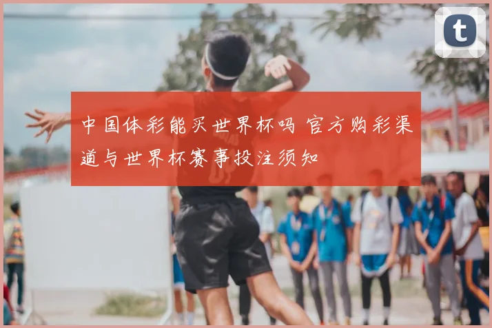 中国体彩能买世界杯吗 官方购彩渠道与世界杯赛事投注须知