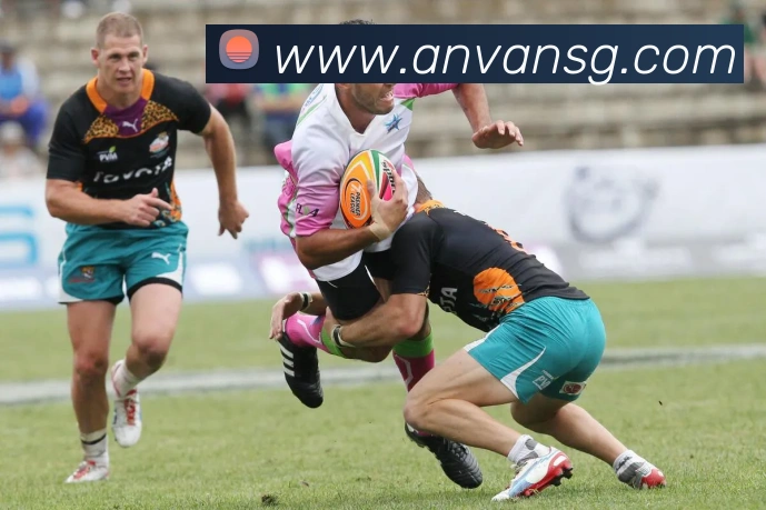 多媒体互动体验